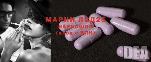 прущие грибы Галич