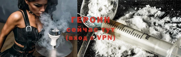 прущие грибы Гатчина