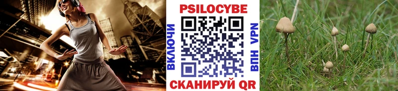 Галлюциногенные грибы GOLDEN TEACHER  Балтийск 