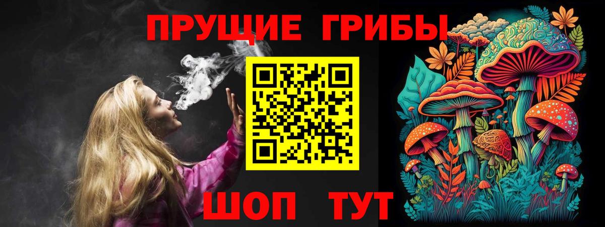 Галлюциногенные грибы мухоморы Балтийск