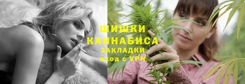 где купить наркотик  Балтийск  Канабис SATIVA & INDICA 